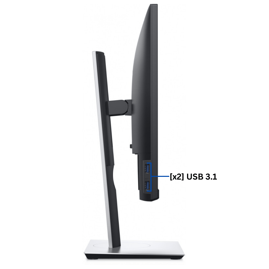Left Side view of an upright Dell Professional P2417H Monitor port diagram, with all visible ports clearly labeled.